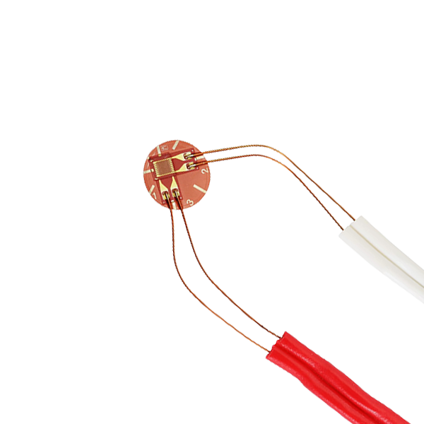 ひずみゲージ（一般鋼材用・2軸）10枚入り